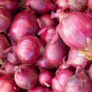 Cebolla morada de Amposta, kg