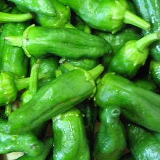 Pimiento de padrón, bolsa 250 gr