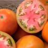 Tomate de ensalada, kg